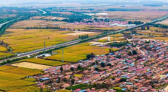 年度特别报道丨加快构建世界一流现代化铁路网(图11)