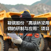 鞍钢股份“高端桥梁用钢的研制与应用”项目成果通过中钢协鉴定（图2）