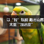 以“智”赋能 跑出山西太重“加速度”(图3) 以“智”赋能 跑出山西太重“加速度”(图3)