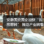 安徽国资国企加快“智改数转” 推动产业转型升级(图1) 安徽国资国企加快“智改数转” 推动产业转型升级(图1)