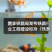 国家铁路局发布铁路行业工程建设标准《铁路工程物理勘探规范》（图1）