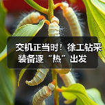 交机正当时!徐工钻采装备逐“热”出发(图1) 交机正当时!徐工钻采装备逐“热”出发(图1)