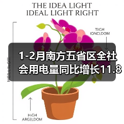 1-2月南方五省区全社会用电量同比增长11.8%(图4) 1-2月南方五省区全社会用电量同比增长11.8%(图4)