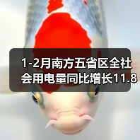 1-2月南方五省区全社会用电量同比增长11.8%(图1) 1-2月南方五省区全社会用电量同比增长11.8%(图1)