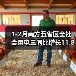 1-2月南方五省区全社会用电量同比增长11.8%(图2) 1-2月南方五省区全社会用电量同比增长11.8%(图2)