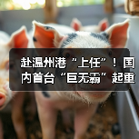 赴温州港“上任”!国内首台“巨无霸”起重机启航发运(图3) 赴温州港“上任”!国内首台“巨无霸”起重机启航发运(图3)