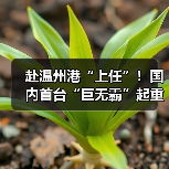 赴温州港“上任”!国内首台“巨无霸”起重机启航发运(图4) 赴温州港“上任”!国内首台“巨无霸”起重机启航发运(图4)