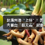 赴温州港“上任”!国内首台“巨无霸”起重机启航发运(图1) 赴温州港“上任”!国内首台“巨无霸”起重机启航发运(图1)