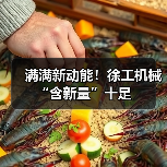 满满新动能!徐工机械“含新量”十足(图1) 满满新动能!徐工机械“含新量”十足(图1)