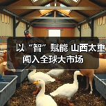以“智”赋能 山西太重闯入全球大市场(图1) 以“智”赋能 山西太重闯入全球大市场(图1)