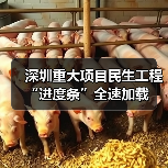 深圳重大项目民生工程“进度条”全速加载（图2）