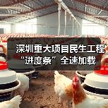 深圳重大项目民生工程“进度条”全速加载（图4）