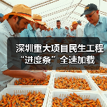 深圳重大项目民生工程“进度条”全速加载（图3）