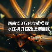 西南铝3万吨立式模锻水压机升级改造项目顺利完成(图1) 西南铝3万吨立式模锻水压机升级改造项目顺利完成(图1)