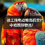 徐工纯电动堆高机交付中哈国际物流!(图4) 徐工纯电动堆高机交付中哈国际物流!(图4)