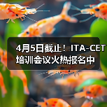 4月5日截止！ITA-CET培训会议火热报名中（图2）