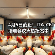 4月5日截止！ITA-CET培训会议火热报名中（图4）