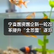 宁夏国资国企新一轮改革提升“全景图”逐渐浮现（图1）