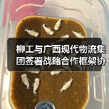 柳工与广西现代物流集团签署战略合作框架协议（图3）
