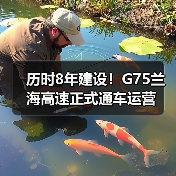 历时8年建设!G75兰海高速正式通车运营(图4) 历时8年建设!G75兰海高速正式通车运营(图4)