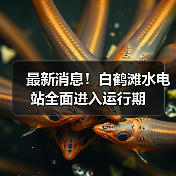 最新消息！白鹤滩水电站全面进入运行期（图3）