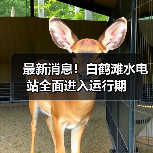 最新消息！白鹤滩水电站全面进入运行期（图4）
