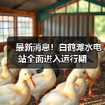 最新消息！白鹤滩水电站全面进入运行期（图1）