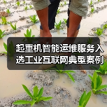 起重机智能运维服务入选工业互联网典型案例(图3) 起重机智能运维服务入选工业互联网典型案例(图3)