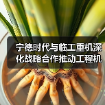宁德时代与临工重机深化战略合作推动工程机械电动化（图3）
