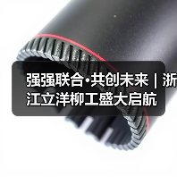 强强联合·共创未来 | 浙江立洋柳工盛大启航（图1）