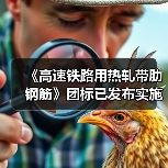 《高速铁路用热轧带肋钢筋》团标已发布实施（图3）