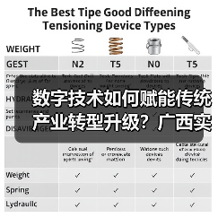 数字技术如何赋能传统产业转型升级？广西实践引领新方向（图2）