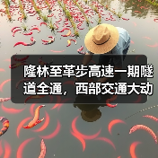隆林至革步高速一期隧道全通，西部交通大动脉加速成型（图3）