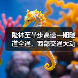 隆林至革步高速一期隧道全通，西部交通大动脉加速成型（图2）