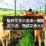 隆林至革步高速一期隧道全通，西部交通大动脉加速成型（图1）