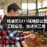 钱塘区S211钱塘段公路工程启动，加速长三角交通一体化（图2）