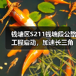 钱塘区S211钱塘段公路工程启动，加速长三角交通一体化（图3）