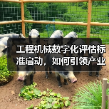 工程机械数字化评估标准启动，如何引领产业升级？（图1）
