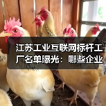 江苏工业互联网标杆工厂名单曝光：哪些企业入选？（图3）
