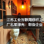 江苏工业互联网标杆工厂名单曝光：哪些企业入选？（图2）