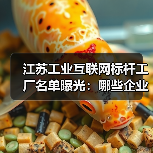 江苏工业互联网标杆工厂名单曝光：哪些企业入选？（图4）