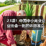 23项！中国中小商业企业协会一批团体标准立项获批（图1）