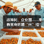 政策树、企业圈……来看营商环境“兴”招！（图2）