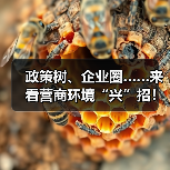 政策树、企业圈……来看营商环境“兴”招！（图4）