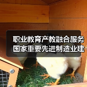 职业教育产教融合服务国家重要先进制造业建设进一步深化（图1）
