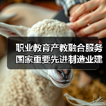 职业教育产教融合服务国家重要先进制造业建设进一步深化（图2）