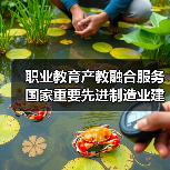 职业教育产教融合服务国家重要先进制造业建设进一步深化（图4）
