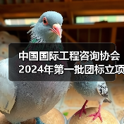 中国国际工程咨询协会2024年第一批团标立项发布（图2）