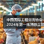 中国国际工程咨询协会2024年第一批团标立项发布（图1）