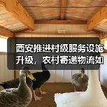 西安推进村级服务设施升级，农村寄递物流如何实现全覆盖？（图2）